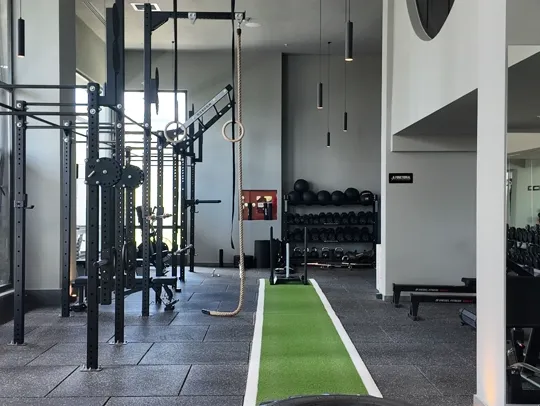 Gyms and fitness clubs